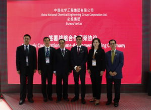 中国化学工程与法国必维携手推动技术创新，共谱绿色化工新篇章