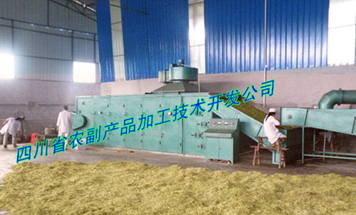 山银花烘干机 四川省农副产品加工技术开发公司成都分公司为您提供专业高效的技术服务